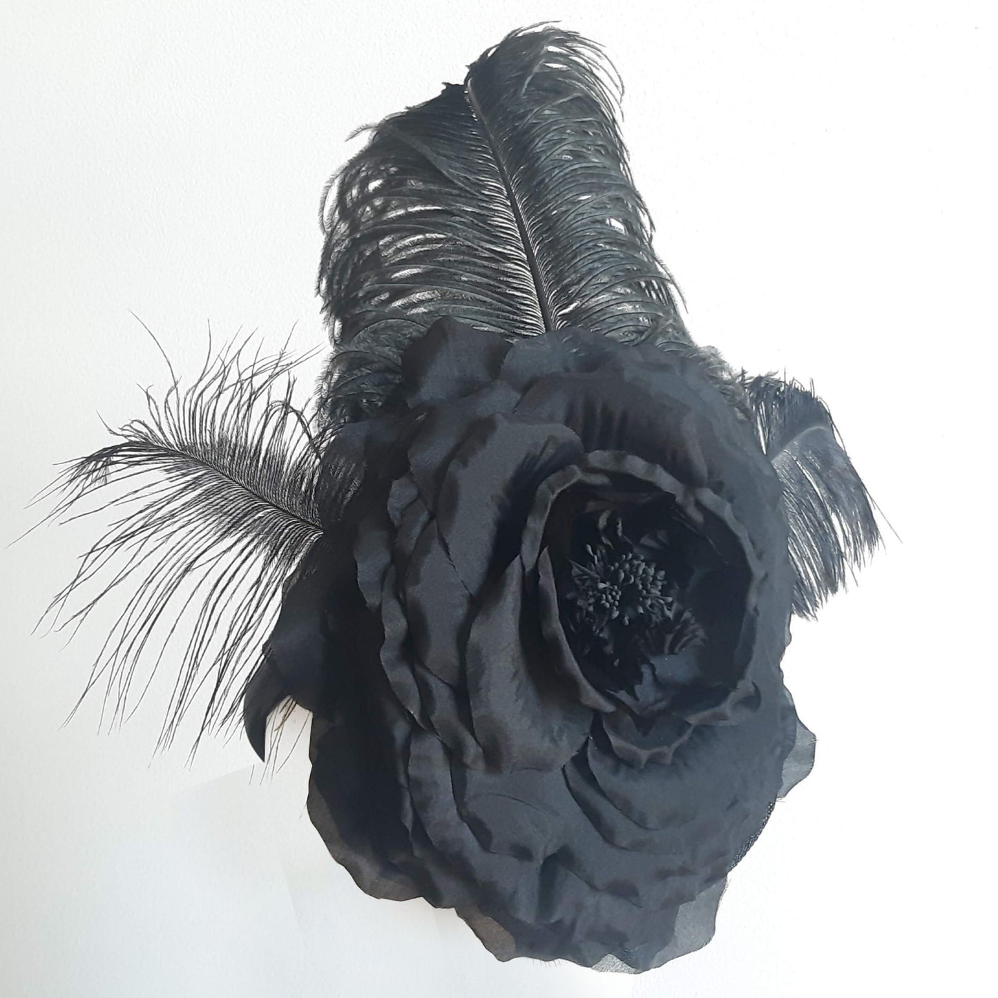 La signorina Rose I Black